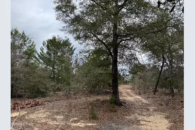 3100 Bonnett Pond Road, Chipley, FL 32428 - Photo 43