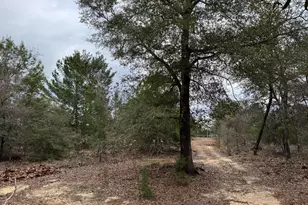 3100 Bonnett Pond Rd, Chipley, FL 32428 - Photo 43