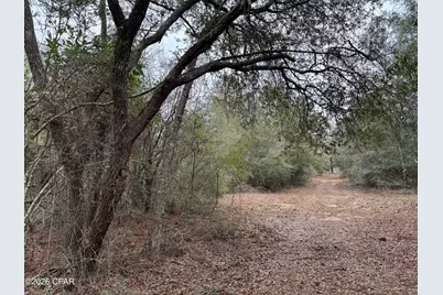 3100 Bonnett Pond Road, Chipley, FL 32428 - Photo 47