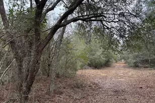 3100 Bonnett Pond Rd, Chipley, FL 32428 - Photo 47