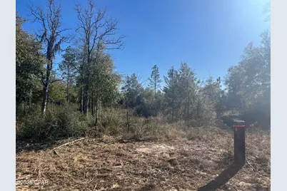 00 Western Road, Fountain, FL 32438 - Photo 9
