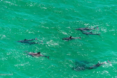 16819 Front Beach Road #1712, Panama City Beach, FL 32413 - Photo 49