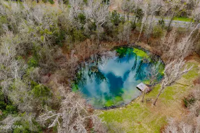 5786 Reddoch Road, Marianna, FL 32446 - Photo 25