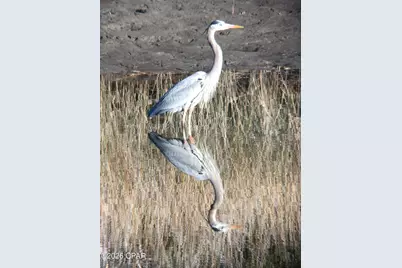 6320 River House Drive, Panama City Beach, FL 32413 - Photo 29