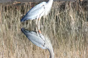 6320 River House Dr, Panama City Beach, FL 32413 - Photo 29