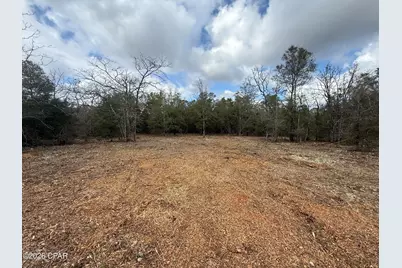 000 Birwood Court, Chipley, FL 32428 - Photo 3