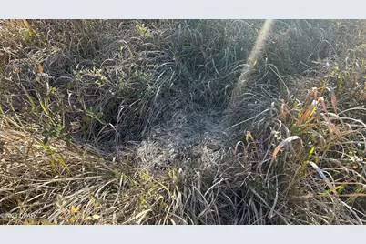 660 White Creek Road, Ponce de Leon, FL 32455 - Photo 31