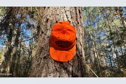 660 White Creek Road, Ponce de Leon, FL 32455 - Photo 15