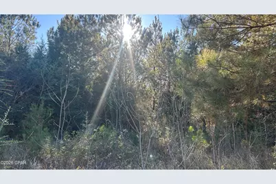 660 White Creek Road, Ponce de Leon, FL 32455 - Photo 41