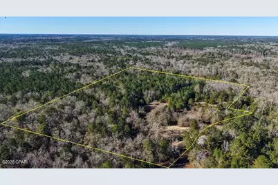 660 White Creek Road, Ponce de Leon, FL 32455 - Photo 1