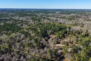 660 White Creek Rd, Ponce de Leon, FL 32455 - Photo 1