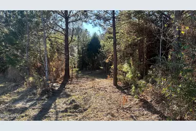 660 White Creek Road, Ponce de Leon, FL 32455 - Photo 13