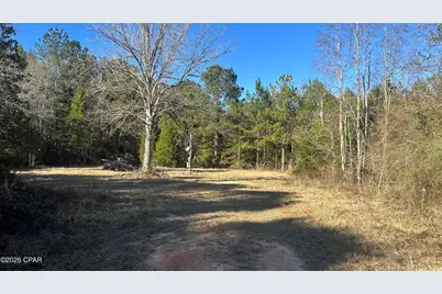 660 White Creek Road, Ponce de Leon, FL 32455 - Photo 11