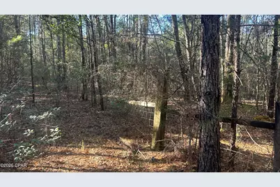 660 White Creek Road, Ponce de Leon, FL 32455 - Photo 19