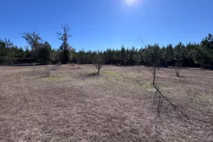 1112 Max Herrin Rd, Chattahoochee, FL 32324 - Photo 37