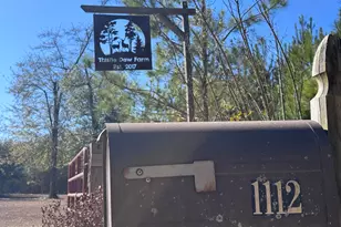 1112 Max Herrin Rd, Chattahoochee, FL 32324 - Photo 5