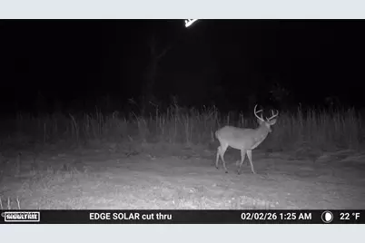 1112 Max Herrin Road, Chattahoochee, FL 32324 - Photo 69