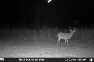 1112 Max Herrin Rd, Chattahoochee, FL 32324 - Photo 69