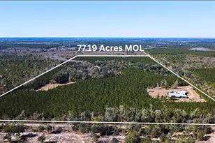 1112 Max Herrin Rd, Chattahoochee, FL 32324 - Photo 1