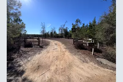 1112 Max Herrin Road, Chattahoochee, FL 32324 - Photo 3