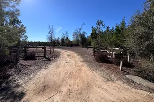 1112 Max Herrin Rd, Chattahoochee, FL 32324 - Photo 3