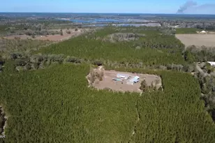 1112 Max Herrin Rd, Chattahoochee, FL 32324 - Photo 61