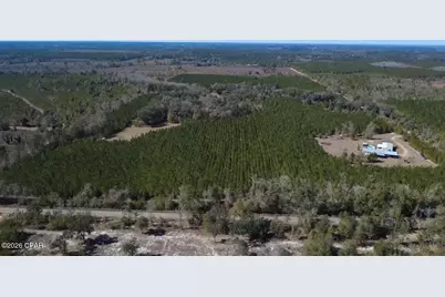 1112 Max Herrin Road, Chattahoochee, FL 32324 - Photo 63