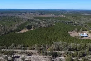 1112 Max Herrin Rd, Chattahoochee, FL 32324 - Photo 63