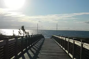 889 Backwater Rd, Port Saint Joe, FL 32456 - Photo 53