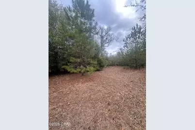 7930 Broken Oak Drive, Sneads, FL 32460 - Photo 19