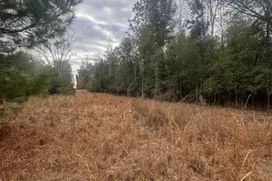 7930 Broken Oak Dr, Sneads, FL 32460 - Photo 1