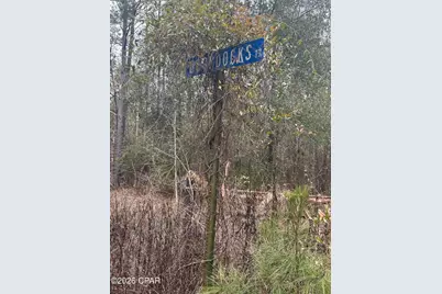 7930 Broken Oak Drive, Sneads, FL 32460 - Photo 35