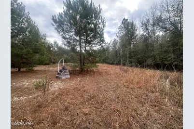 7930 Broken Oak Drive, Sneads, FL 32460 - Photo 15