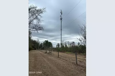 7930 Broken Oak Drive, Sneads, FL 32460 - Photo 3