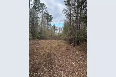 7930 Broken Oak Drive, Sneads, FL 32460 - Photo 7