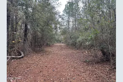 7930 Broken Oak Drive, Sneads, FL 32460 - Photo 9