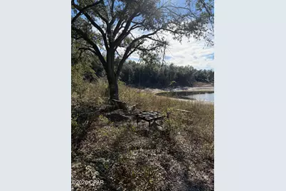 Lot 21 Grassy Pond Road, Chipley, FL 32428 - Photo 9