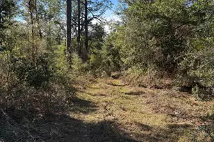 Lot 21 Grassy Pond Rd, Chipley, FL 32428 - Photo 1