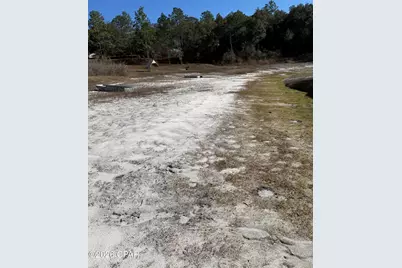 Lot 21 Grassy Pond Road, Chipley, FL 32428 - Photo 13