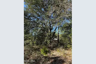 Lot 21 Grassy Pond Road, Chipley, FL 32428 - Photo 3