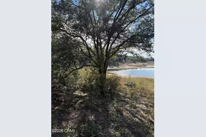 Lot 21 Grassy Pond Road, Chipley, FL 32428 - Photo 7