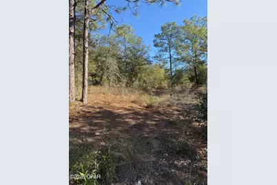 Lot 21 Grassy Pond Road, Chipley, FL 32428 - Photo 7
