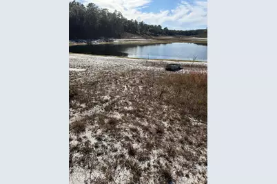 Lot 21 Grassy Pond Road, Chipley, FL 32428 - Photo 11