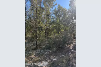 Lot 21 Grassy Pond Road, Chipley, FL 32428 - Photo 3