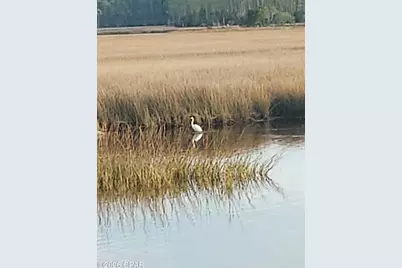 8525 Preservation Drive, Panama City Beach, FL 32413 - Photo 61