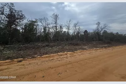 000 Pembroke, Alford, FL 32420 - Photo 5