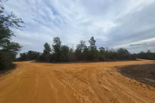 000 Pembroke, Alford, FL 32420 - Photo 1