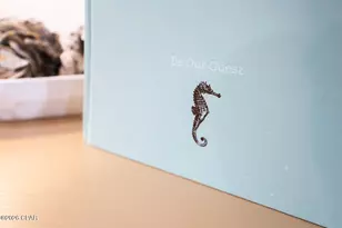 23223 Front Beach Rd, Panama City Beach, FL 32413 - Photo 49