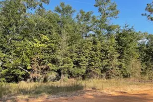 0 Koskiusko Dr, Alford, FL 32420 - Photo 1