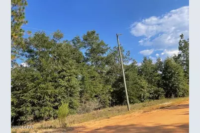 0 Koskiusko Drive, Alford, FL 32420 - Photo 7